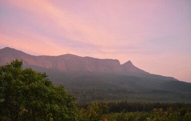 Chikmagalur Coffee Trails